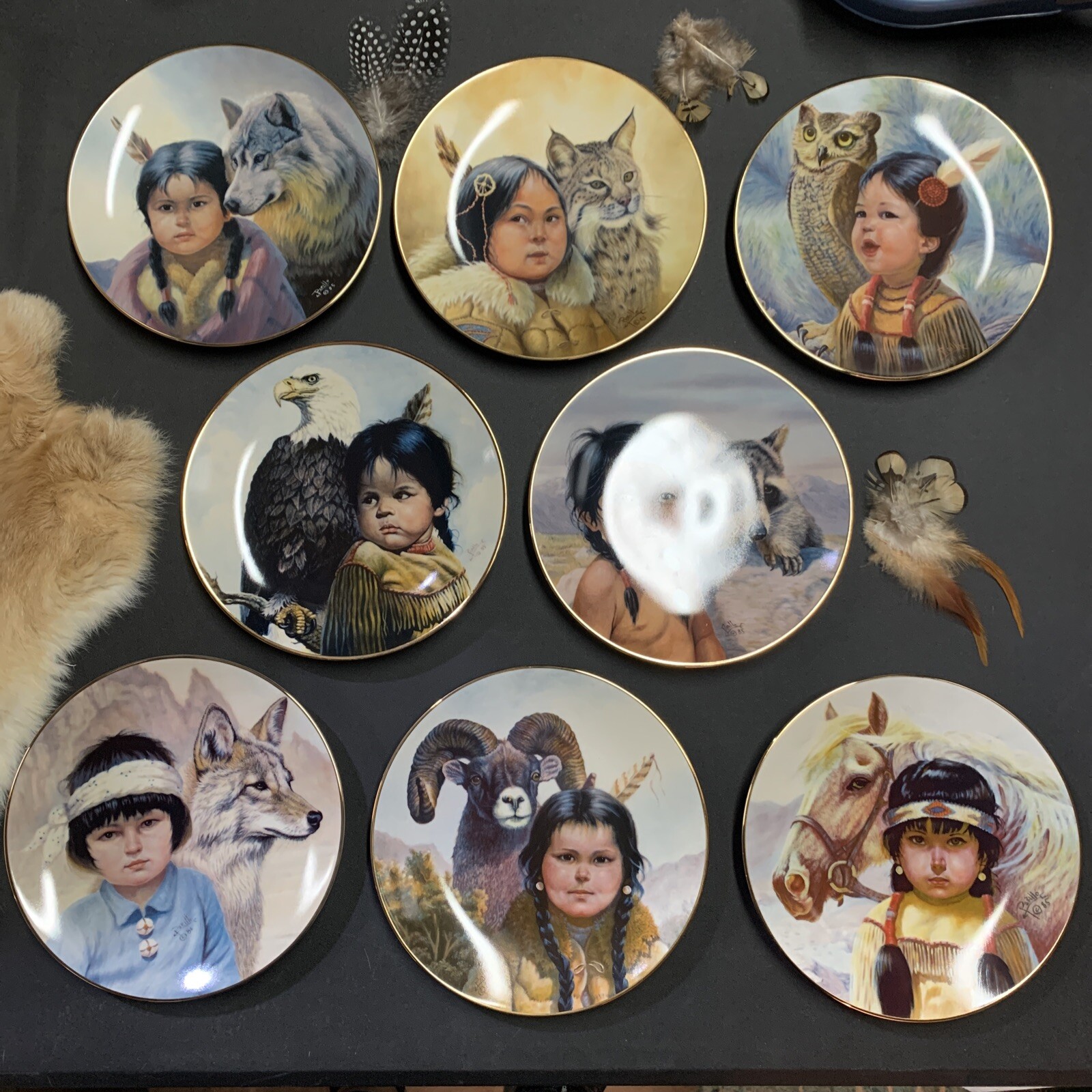 8 Vague Shadows Collectible Pride Of American Indian Plates 