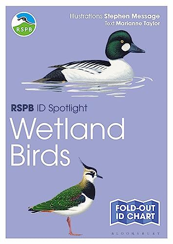 RSPB ID Spotlight - Wetland Birds by Marianne Taylor (Fold-out book or chart) - Image 2