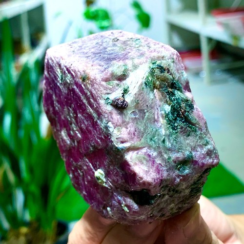 1.11LB Natural pink tourmaline quartz crystal mineral specimen spiritual healing - Picture 10 of 13