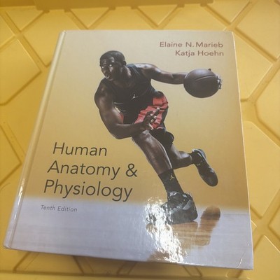 Human Anatomy and Physiology 10th edition by Elaine N. Marieb and Katja Hoehn