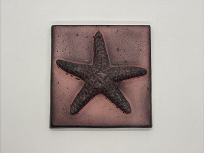 5x5 3D Starfish Ceramic Wall Tile Pink Hue Douglas Roberts Coastal Ocean