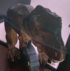 Foto 4 di 5