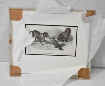 Matted De Dachshund Art Picture 2 Dogs 1 Cat Steend V S de Visser