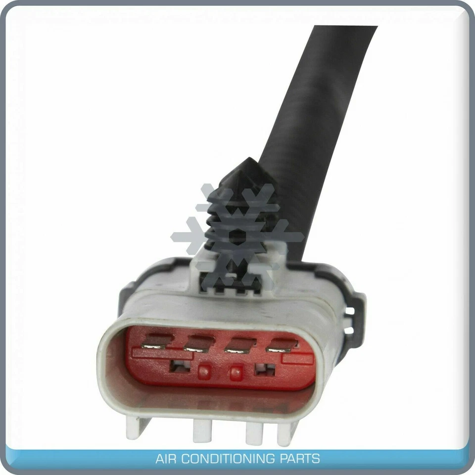 Bomba de combustible eléctrica para Dodge Dakota - 2000 2001 2002 2003 QOA Foto 4 de 4