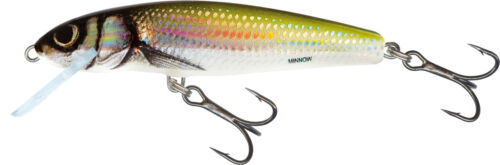 SALMO LURES MINNOW 5-6-7 cm ARTIFICIALE PESCA TROTA FLOATING SINKING HARD BAIT - Photo 9 sur 21