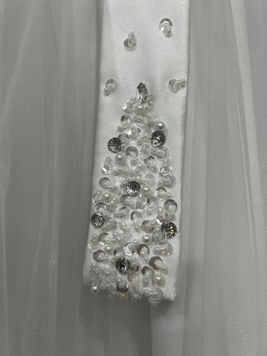 JJ's House White Ball-Gown/ Princess Floor Length Dress Size 10 - Picture 7 of 14