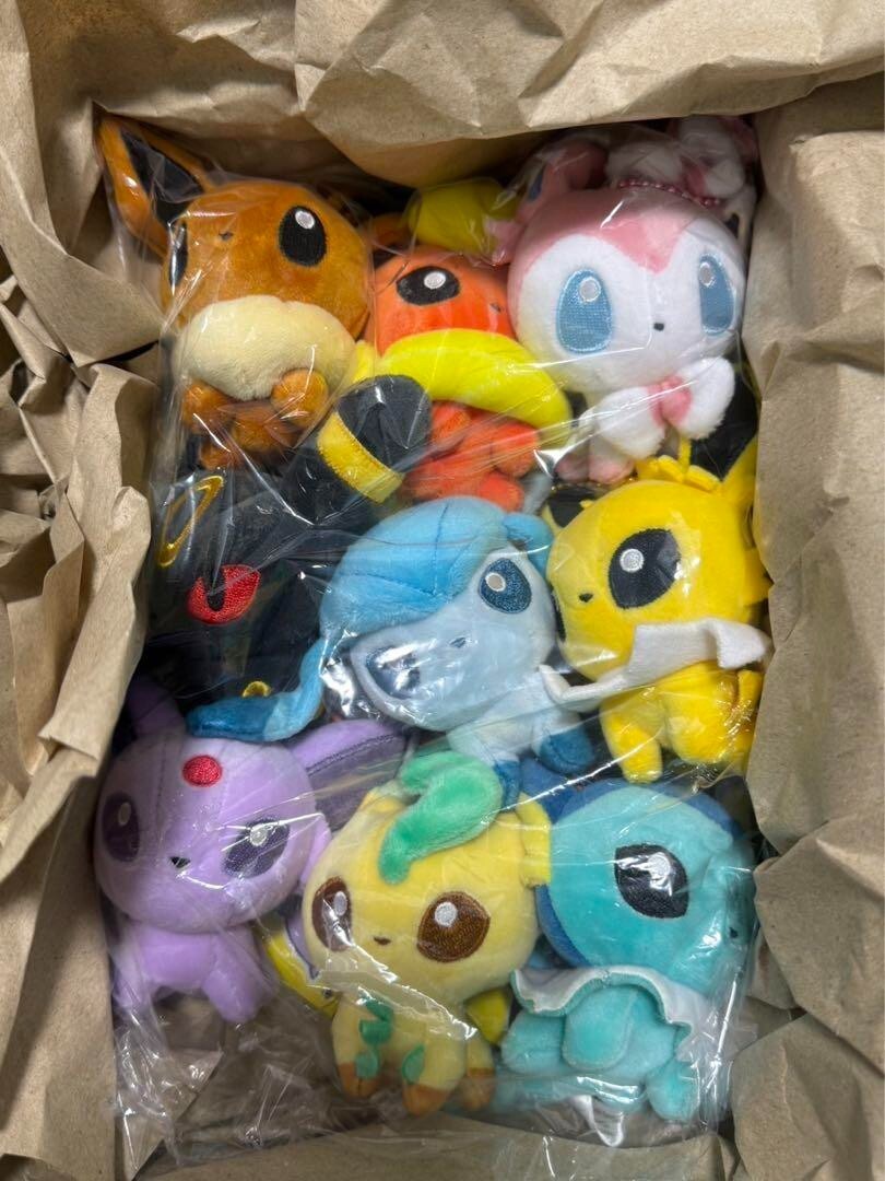Eevee Heroes Pokemon Dolls Plush doll Keychain 9 set Pokemon