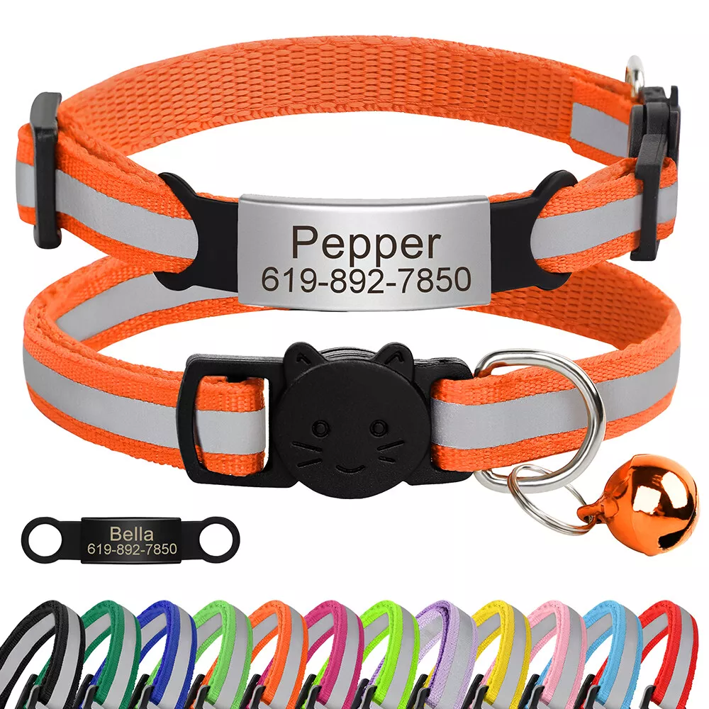 Personalized hotsell breakaway collar
