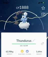 Thundurus Incarnate Pokemon Gen5 Go Same/30 Day Pokémon Unova Legendary Read Des