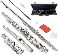 16 Key Flute,C Flute Instrument Closed Holes for Beginner with Case,Cleaning Kit