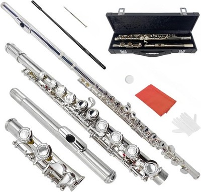 16 Key Flute,C Flute Instrument Closed Holes for Beginner with Case,Cleaning Kit