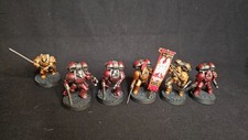 Blood Angels Custom Painted Ready for Battle