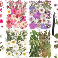 nisetten 110 PCS Pressed Flowers for Resin molds Real Dried Flower Colorful-a