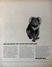 Qantas Australian Airlines Print Ad From 1965 - Sydney Australia, Koala