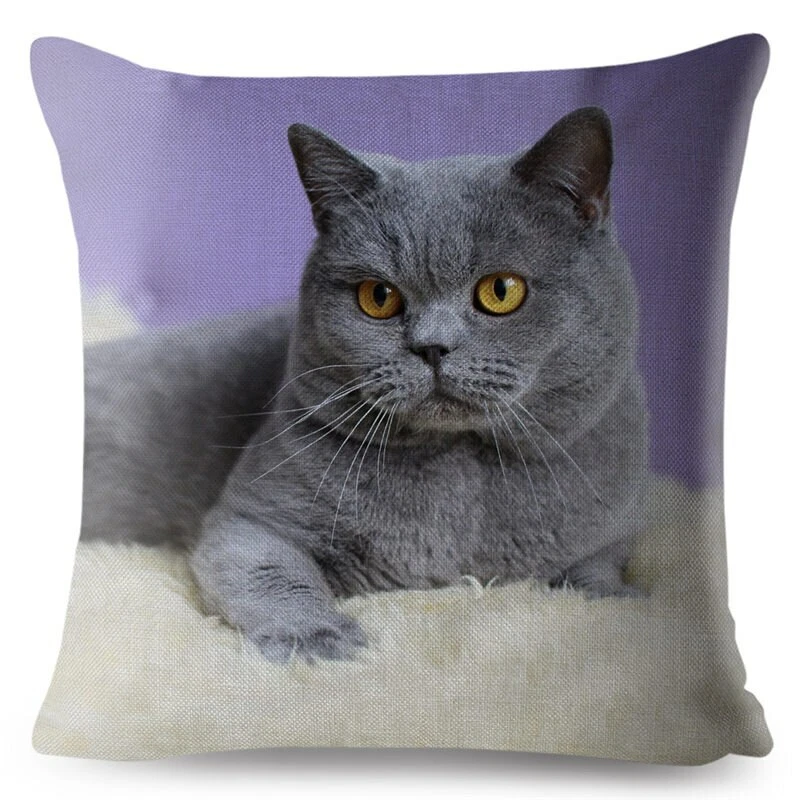 Cat top print cushion