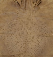 Ostrich Leather Hide, Saddle Bruciato Color