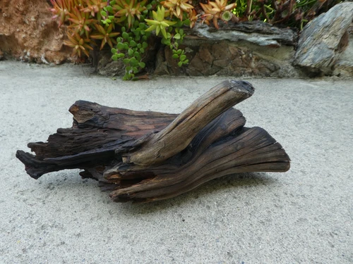 Driftwood Manzanita Branch Aquarium Terrarium Aquascape Reptile Decor Nature
