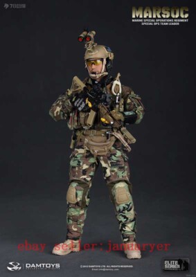 Perfect Damtoys 78006 1/6 Marsoc Special Ops Team Leader Action