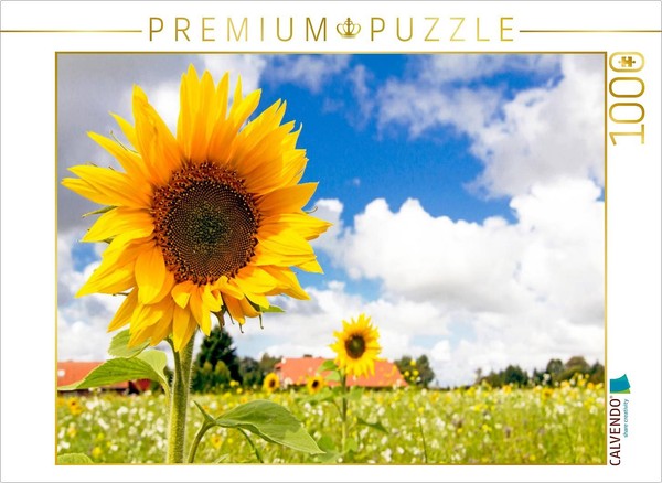 Calvendo Puzzle Eversmeer - Sunflower Field | 1000 Pieces, Finished Size 25.2 ×-image