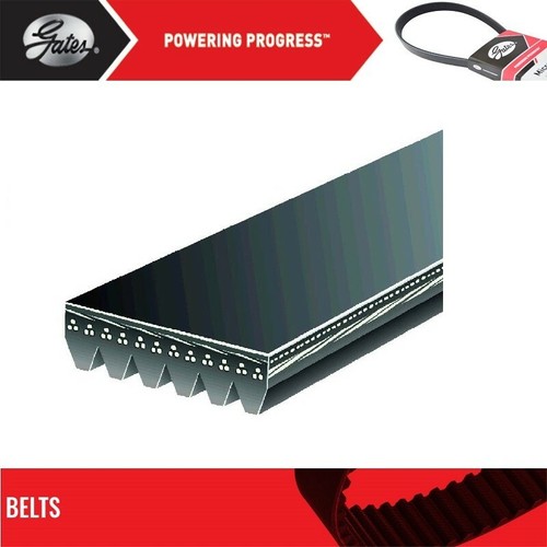 Gates Accessory Drive Belt For 1999-2001 CHEVROLET CORVETTE V8-5.7L - Picture 2 of 7