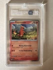 Pokémon TCG Charmander Cosmos Holo, Charizard Super Premium Collection
