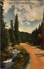 Black Hills South Dakota SD : ROAD SCENE d/13 AV8194