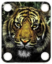 Neckplate fit Graphic Electric Guitar Color PJ Bass Strat Tele Cat Tiger 3
