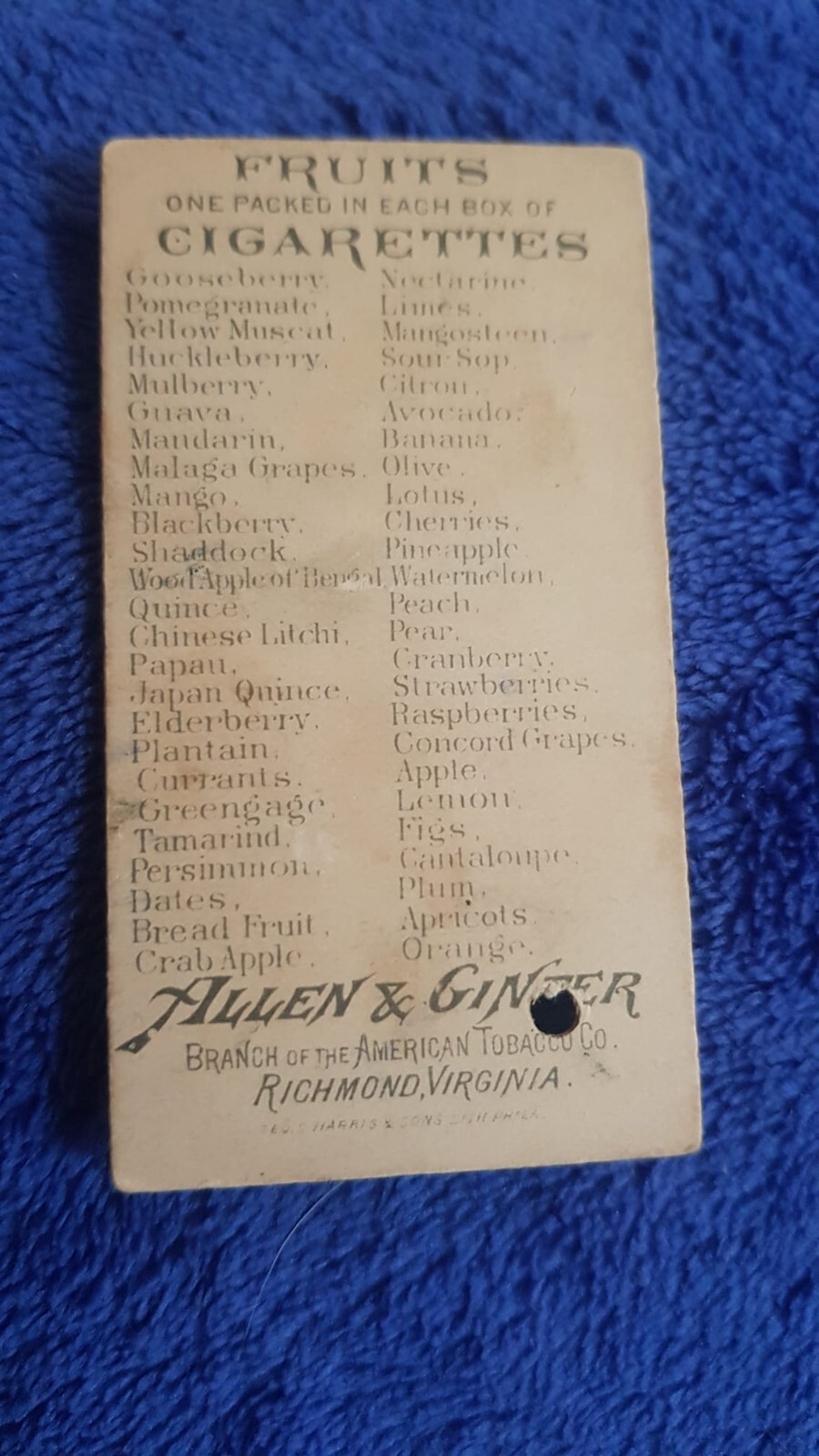 cigarette card Allen & Ginter Fruits (1891) Huckleberry eBay