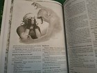 Foto 11 di 13