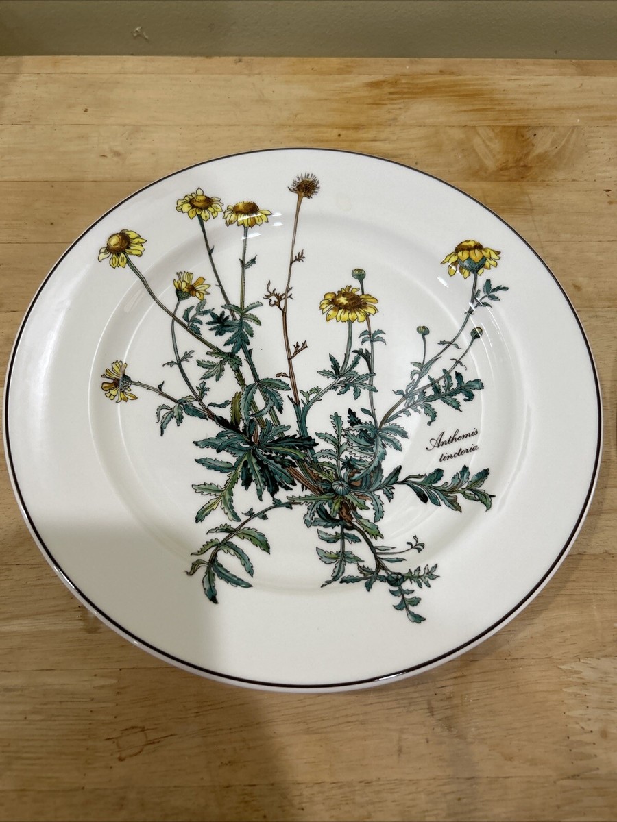 Villeroy and Boch Botanica China Anthemis Tinctoria 10.5 inch