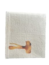 Pablo Neruda Festin Nerudiano