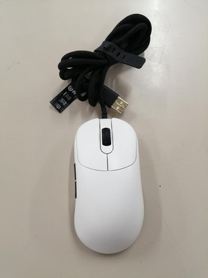 Mouse Model NP 01S ZYGEN