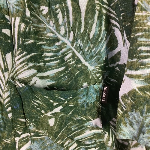Molokai Surf Co Boys Short Sleeve Button Up Palm Fronds Green Shirt Size XXL - Picture 11 of 13