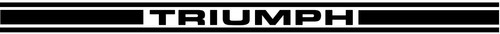 Custom Triumph Lower Rocker Stripe For Spitfire, Triumph, GT6, Herald, Sprite - Picture 2 of 12