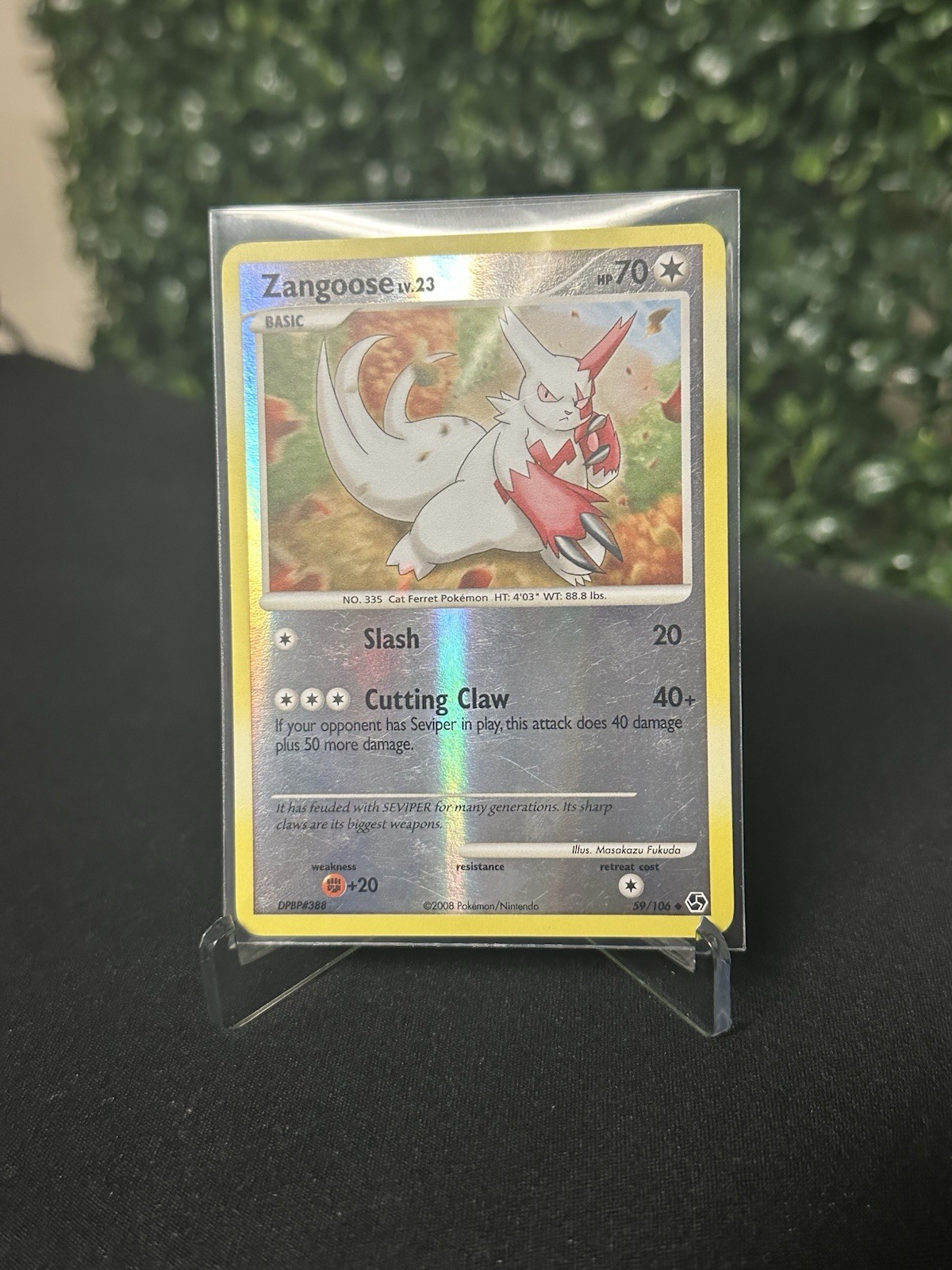 Zangoose 59/106 Reverse Holo Pokémon Card 2008 Great Encounters LP