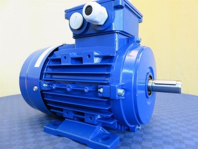 Elektromotor Drehstrom 3kW S3 3000/min Welle 24mm 90L prog. B3(Fuß)
