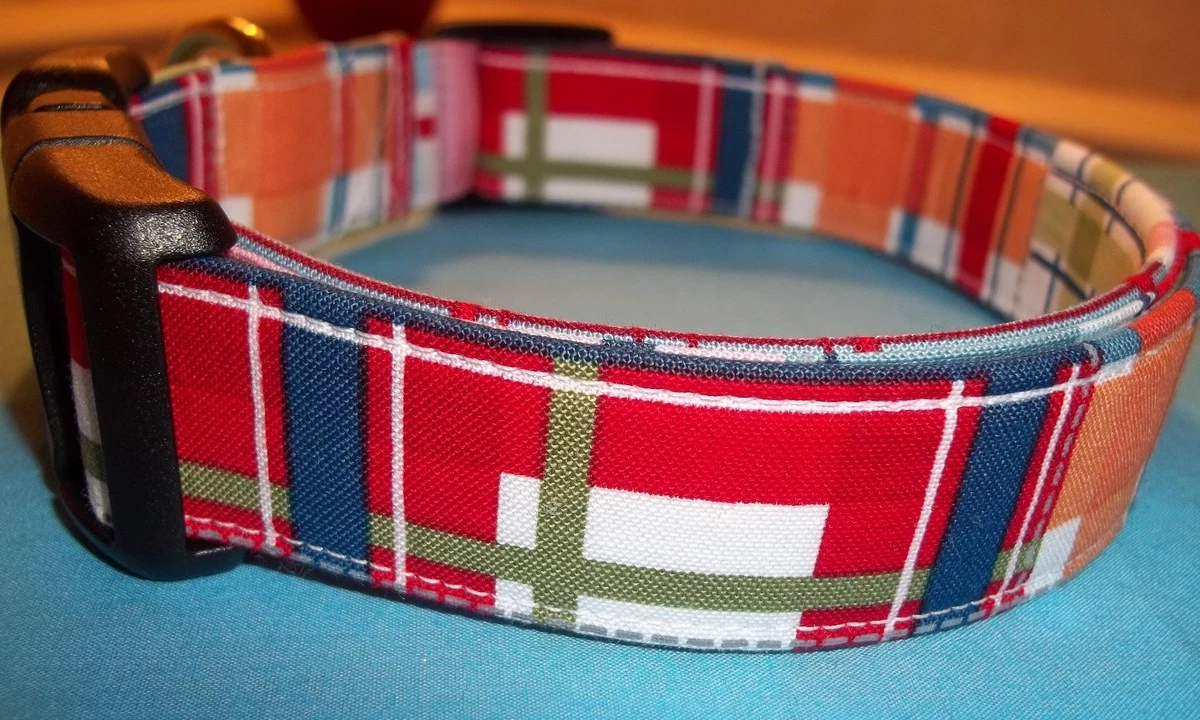 Frat dog collars deals