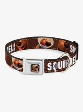 Buckle-Down Seatbelt Buckle Dog Collar - Dug 3-Poses/SQUIRREL! SZ L 15-24" UP
