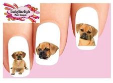 Waterslide Dog Nail Decals Set of 20 - Puggle Assorted