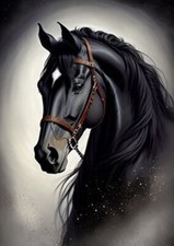 HORSE BEAUTIFUL BLACK HORSES HEAD GREETING NOTE CARD