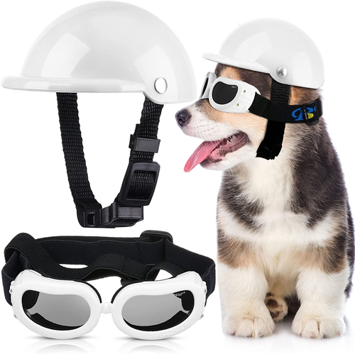 Pet Dog Helmet and Dog Goggles Set 4 Inch Padded Puppy Motorcycle Helmet Sunglas - Picture 11 of 12
