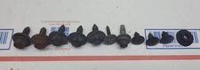 2009-2018 DODGE RAM 1500 ENGINE BAY MOUNTING BOLTS OEM BOLT SET HARDWARE TRAY