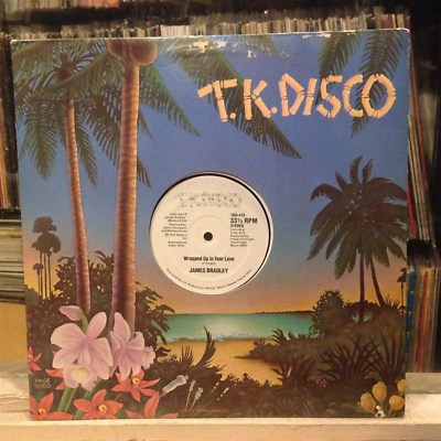 [SOUL/FUNK]~NM 12''~JAMES BRADLEY~Wrapped Up In Your Love~Let's Paint The Town~