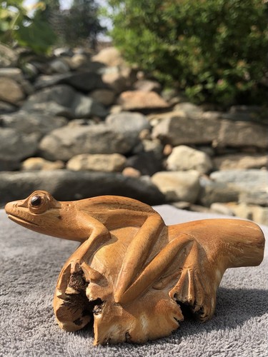 OOAK Hand Carved Burl Wood Sitting Tree Frog Sculpture Figurine