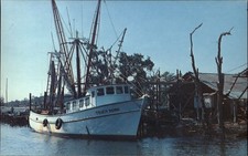 Gulf Coast Shrimper boat TOUCH DOWN ~ Pensacola Florida ~ postcard sku437