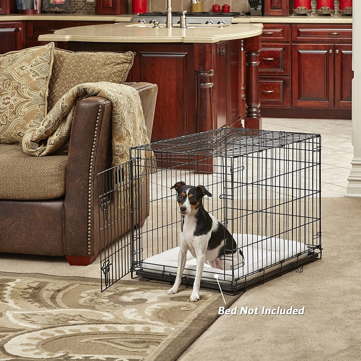 Midwest medium hotsell dog crate