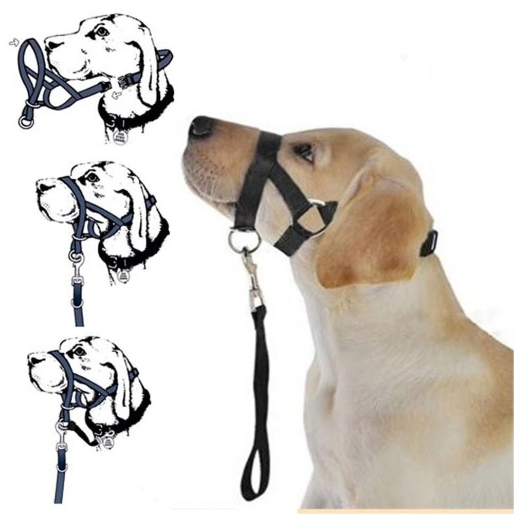 Training Leash Non Pull Dog Muzzle Dog Halter Dog Head Collar Leader Harness