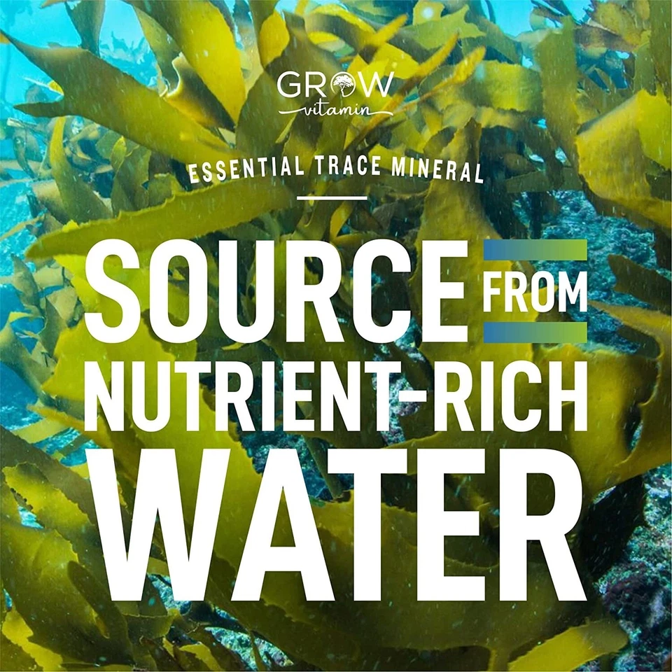 Yodo algas marinas | 4790MCG | 90 CÁPSULAS | SUPERALIMENTO ORGÁNICO, OLIGOELEMENTOS Foto 4 de 4