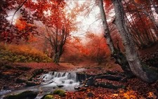 Landscape nature fall mist forest leaves creeks red Custom Gaming Mat Desk