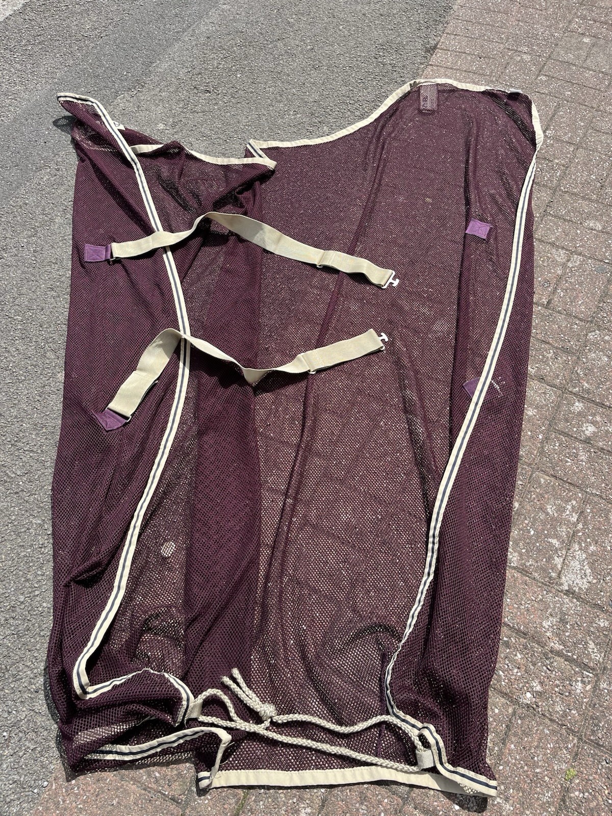 Bild 2 von 3